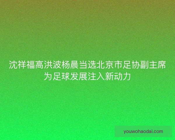 沈祥福高洪波杨晨当选北京市足协副主席为足球发展注入新动力